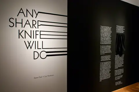 Any Sharp Knife Will Do (2011) — work by Lee Henderson