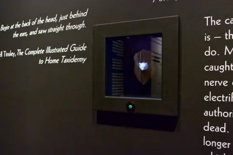 'Any Sharp Knife Will Do' - installation view, The Rooms Provincial Art Gallery - in collaboration with Seema Goel