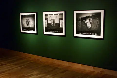 'Any Sharp Knife Will Do' - installation view, The Rooms Provincial Art Gallery - in collaboration with Seema Goel
