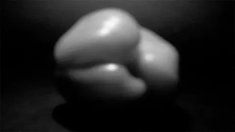 'The Emptiness (Pepper, after Weston)' - video still, 2011