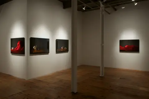 'galileo's falling bodies' - installation view, Red Head Gallery, Toronto, 2014