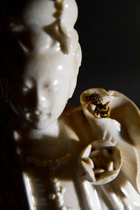 The Impact of Hyphenation in Wasps — c-prints transmounted to acrylic - 24x36" each, 2008 (5 of 7)