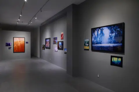 'Never Letting Us Take Breath' - installation view, Zalucky Contemporary, 2016