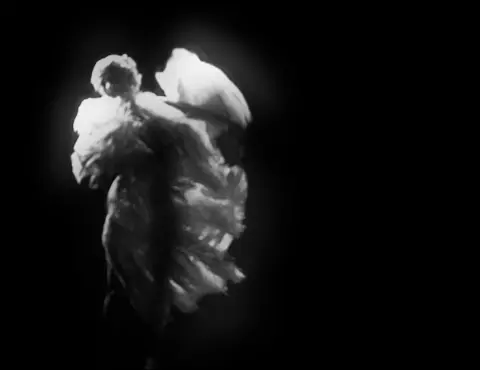 Revelations — video - 3:20, SD b/w, stereo, 2005 (3 of 3)
