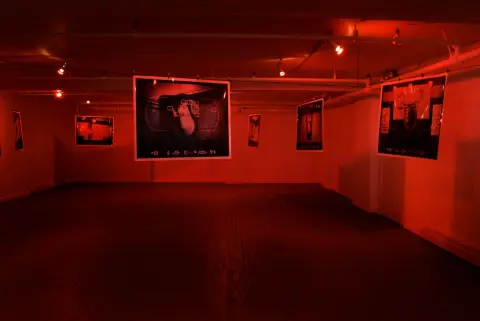 'Still Life with Thanatotic Animals' (installation view, A1C Gallery, St. John''s, 2009)
